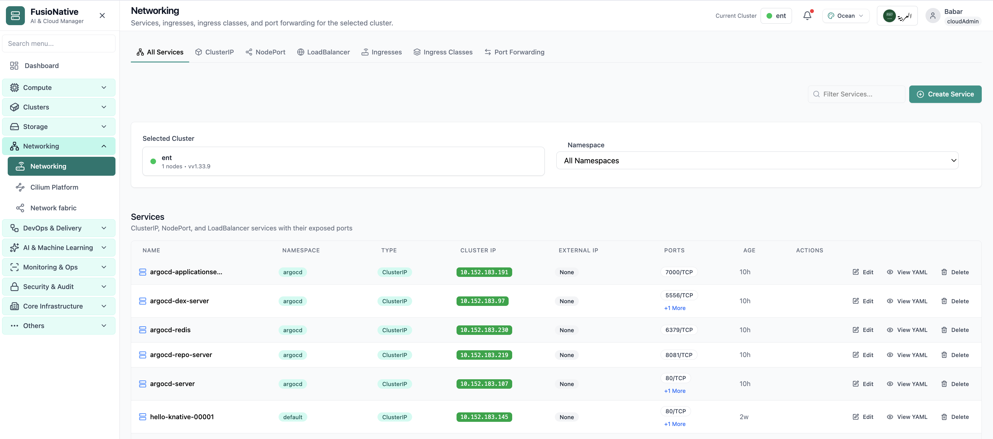 Kubernetes networking services and ingress management.